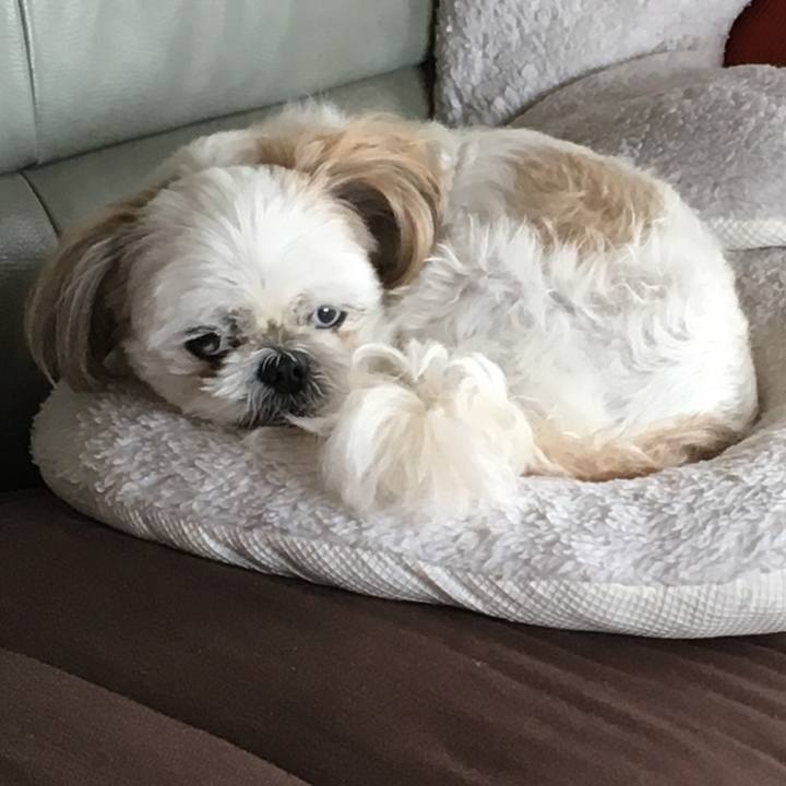 609fd458 e25f 474e 9c87 c37bd73bfc7b 1540940938030