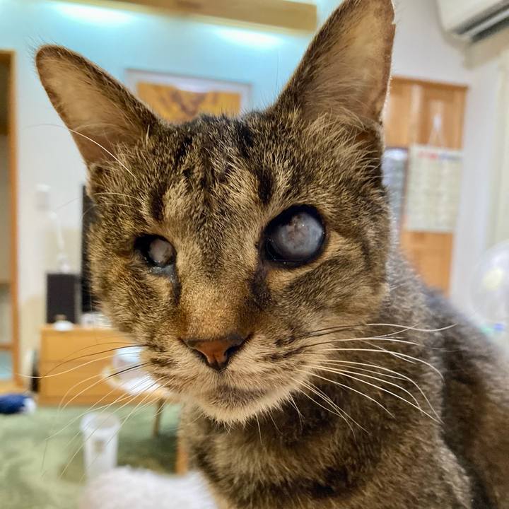 609ff7f8 692c 4cad 9261 8709693df1c0 1677799819281