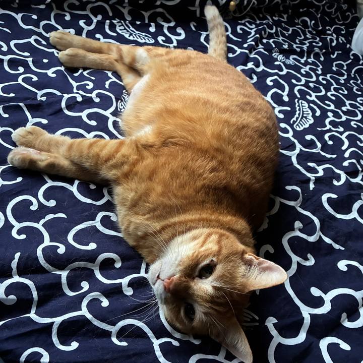 60a02c6d 01e1 43b0 b295 fb1399d82727 1756371975376