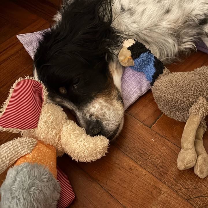 60a05c7a a3c7 4e9b a834 84f10dcce18f 1773849153576