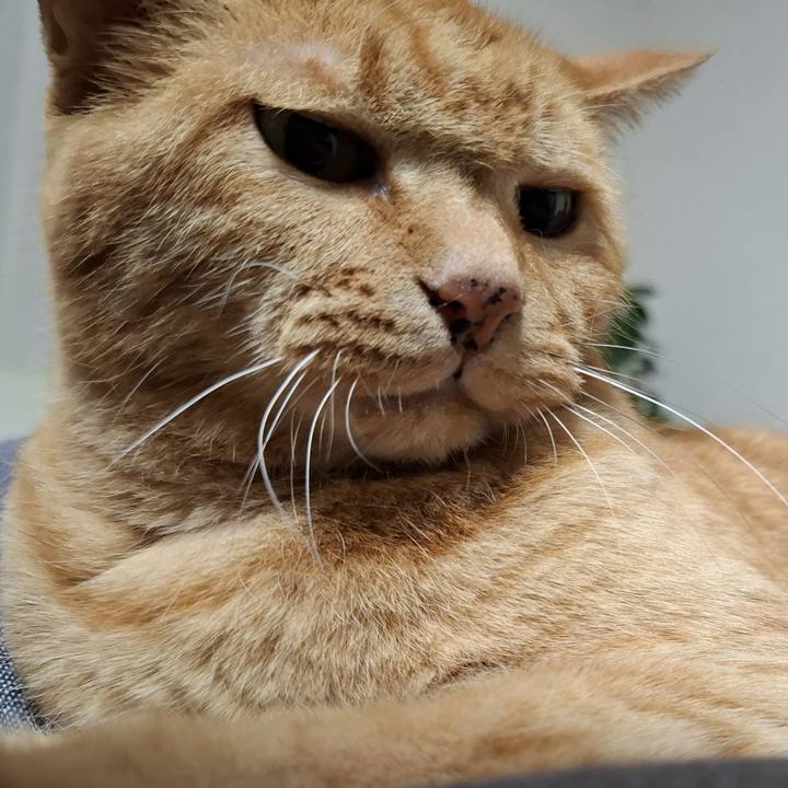 60a0644e 4d55 48ab bca5 edbc086ab8e1 1742874602437