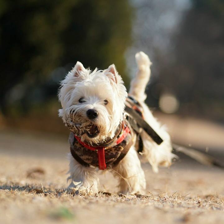 60a07ba5 bc90 4d6f a23e a463c6cecd46 1518218737957