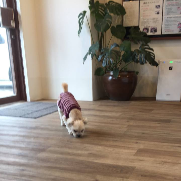 60a09d8c 462f 46bf b5f5 65c48f889109 1519389679626