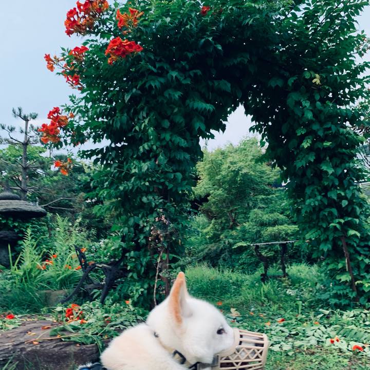 60a0e6d7 01ae 4696 8044 cb87d6bb938c 1659903505146