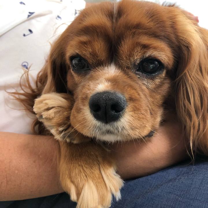 60a1570d 8617 4219 a68d 482c5530d0b3 1634445473835