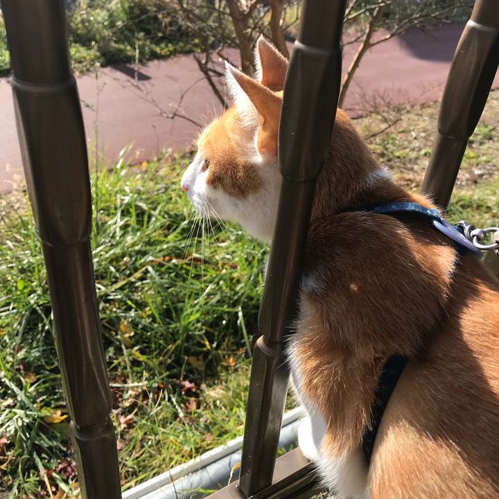 60a1d9ce 4d88 493b 999b 34d66b193b77 1510792971086