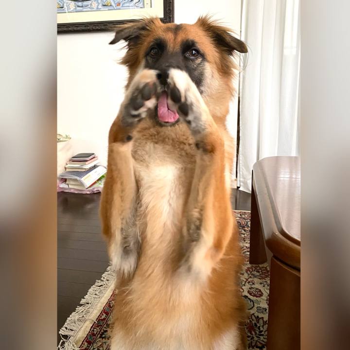 60a20ffc 2419 431c a423 681304598f84 1758608263610