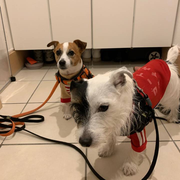 60a21496 b10b 48f0 b0ed 78c4d4e1c062 1575968926158