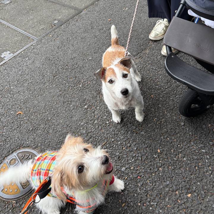 60a22964 b8a9 4486 9c3a 272b2502556c 1760780517061