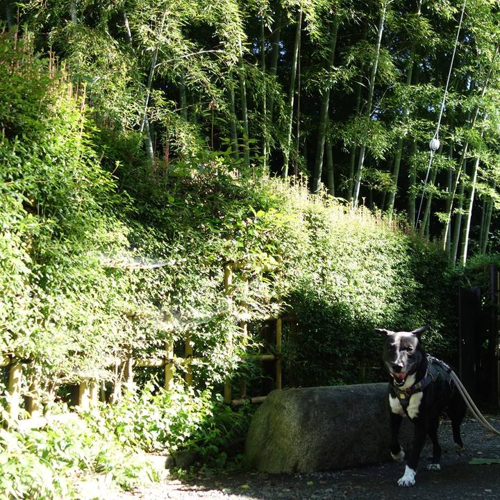 60a22e48 29e0 4bf4 90a9 d9749eea0349 1655079620093