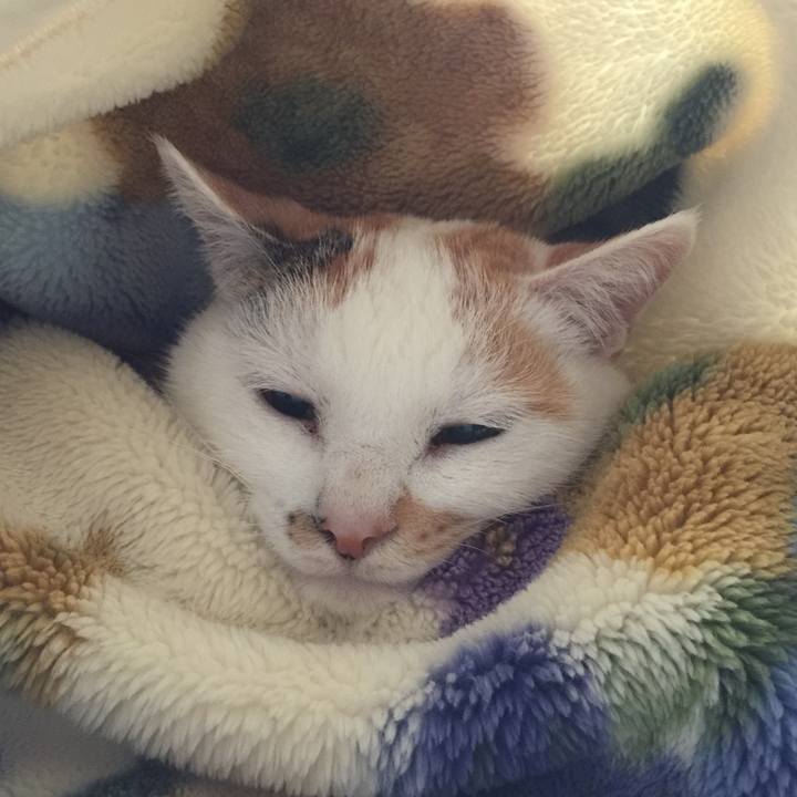 60a23b9f f1e3 4a15 b009 5d5a8b95026f 1510222622673