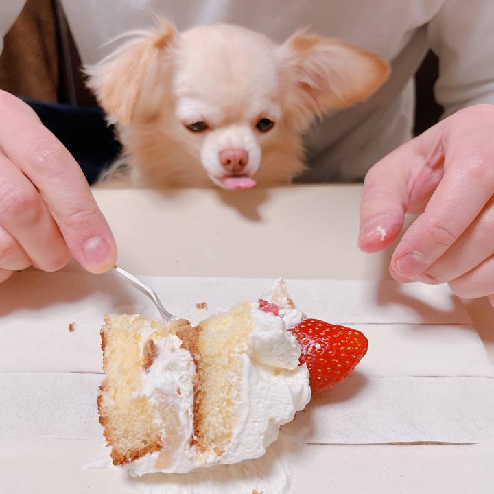 60a27085 6218 4fcd 9f9d 3f2f5c32199b 1672058881593