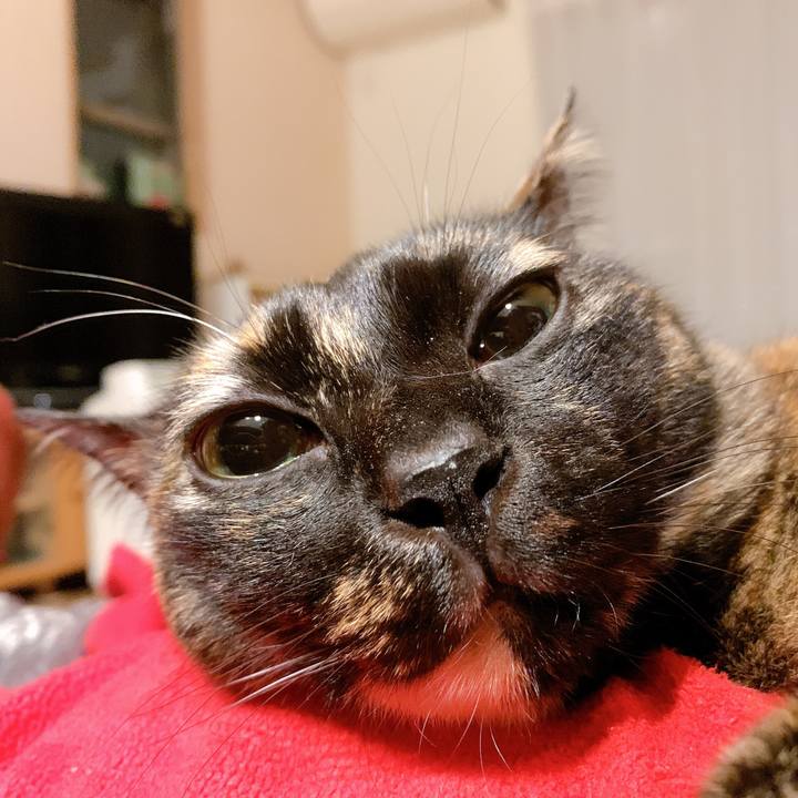 60a27b8a 43db 46c8 8c05 b4fe017fd410 1574988595310