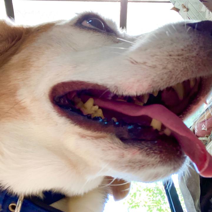 60a2d92a 90ab 492e a45b cc591ecca430 1591501928879