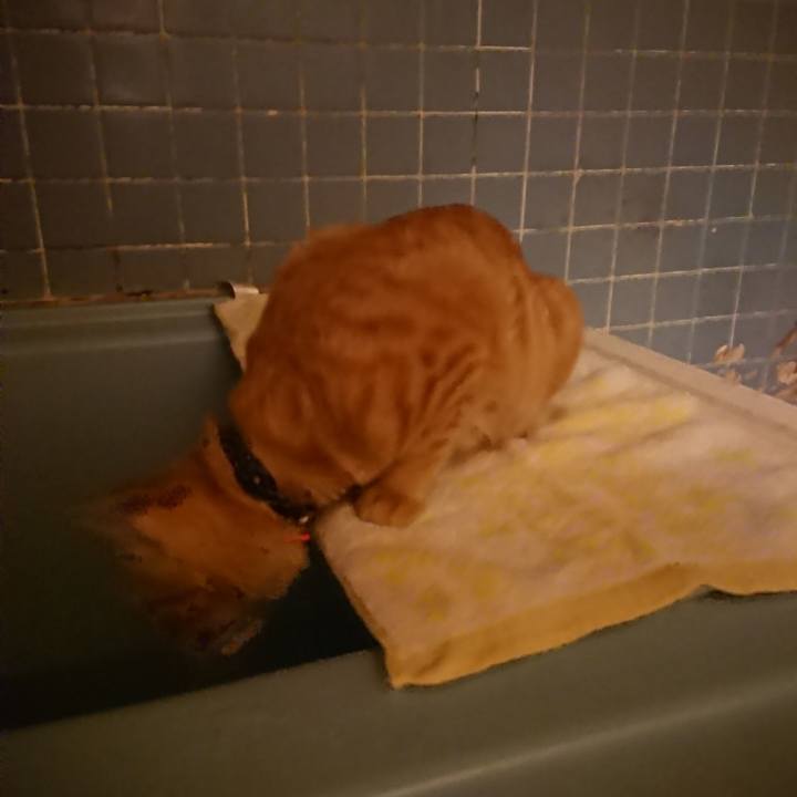 60a2e1bb 6b89 44bd 8ce0 7f7a5524d082 1637402127875