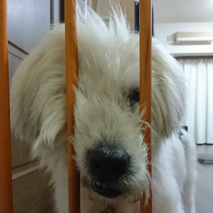 60a31263 1b97 4e25 acee dbc641dad2fb 1604922811557