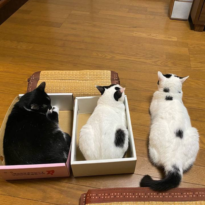 60a317db eb30 42ac 898b 1b6be893f1fd 1658231488023