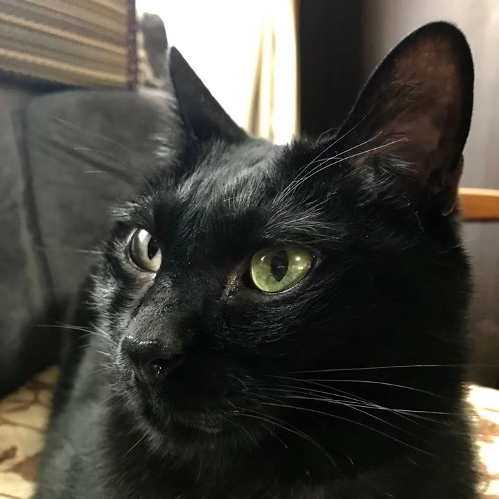 60a341a2 822c 476c a2fa c45d531726ec 1527903382270