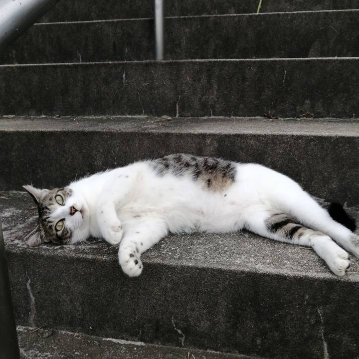 60a34e7e 7905 4db4 a9da 2337044b9fb0 1567077707444