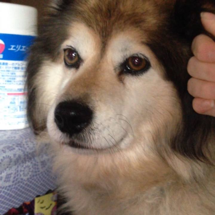 60a356c4 594d 468a b768 88508814379e 1600241383401