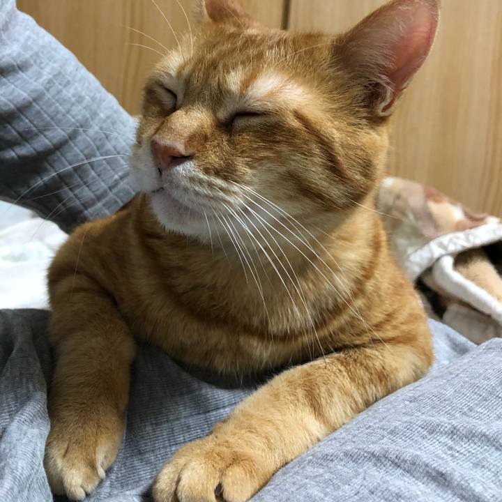 60a35a3d 3cb4 42dc 9dcd 07a91ceccb6b 1594299336713