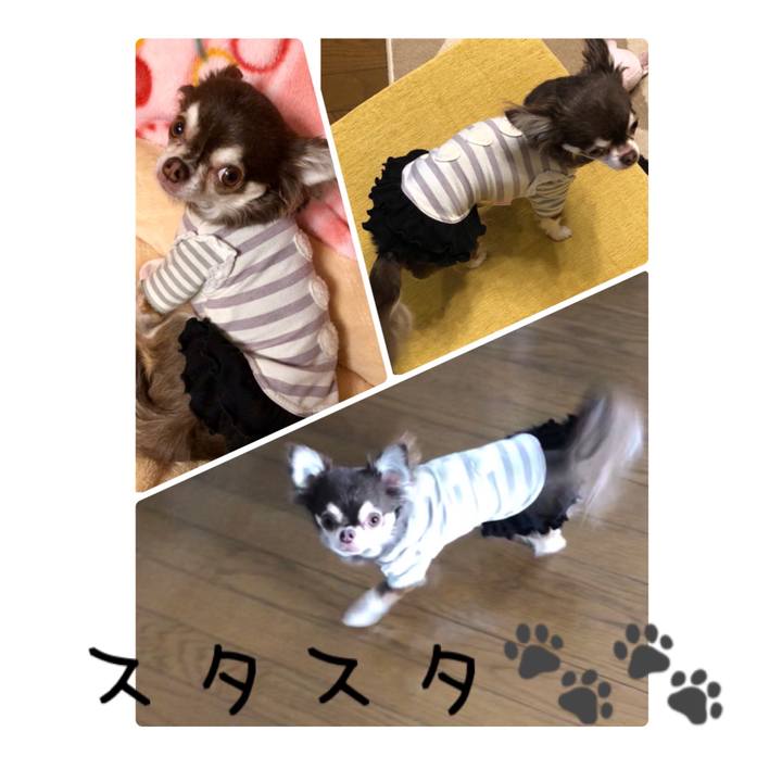 60a361e6 fe64 4d5e a5d3 ebf74db28975 1519444033797