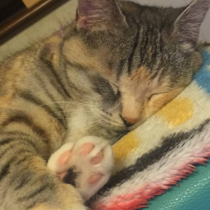 60a3758a 5392 4e6f a1e6 987952ef12a2 1561467249857