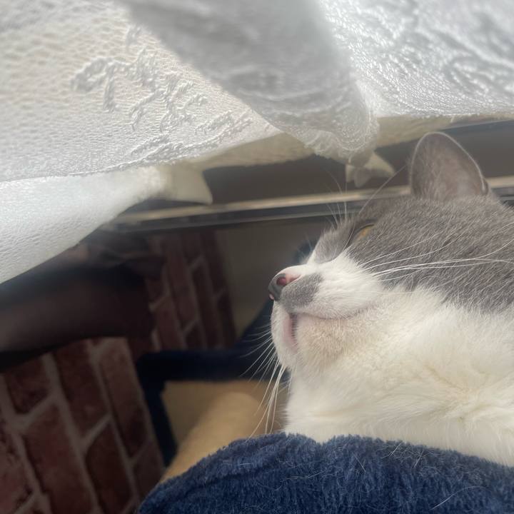 60a3a9a3 9dc9 4392 84aa 64404884178a 1680999705948