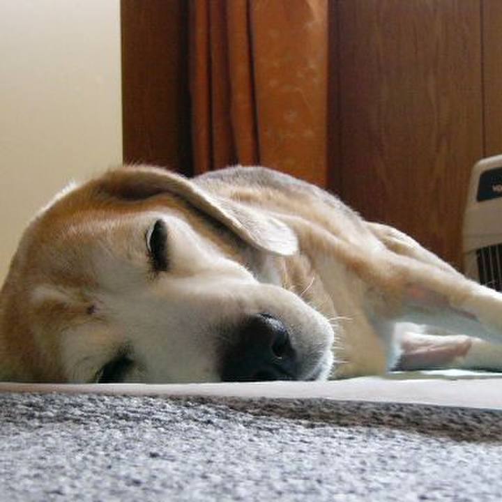 60a3f69f 10b3 4e9e 8880 a7692809bd47 1681605175048