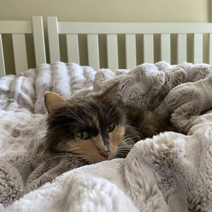 60a405cf 7379 473e 8763 fccf5aa90095 1638204588867