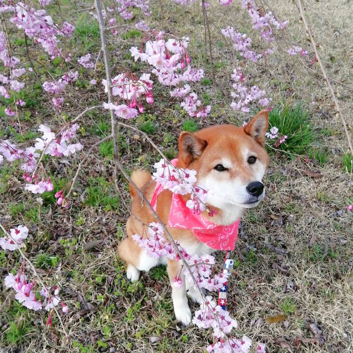 60a41804 799a 47a6 9be0 000dd887ccab 1648800932438