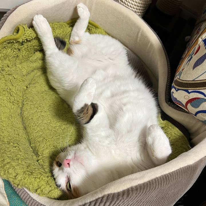 60a45070 49c6 46f4 b9ba a839fe839350 1773747608366