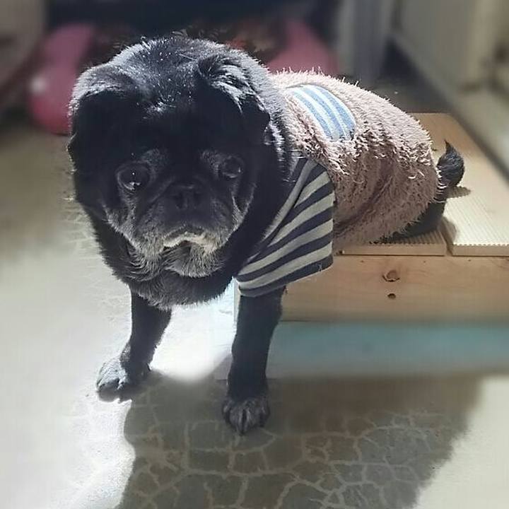 60a45d41 0d63 4299 9f7f 3fe040923bf4 1520325617052