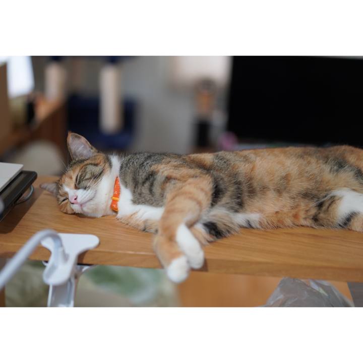 60a47450 4b4b 4894 a2d0 4dbb4e42fd93 1625923686858