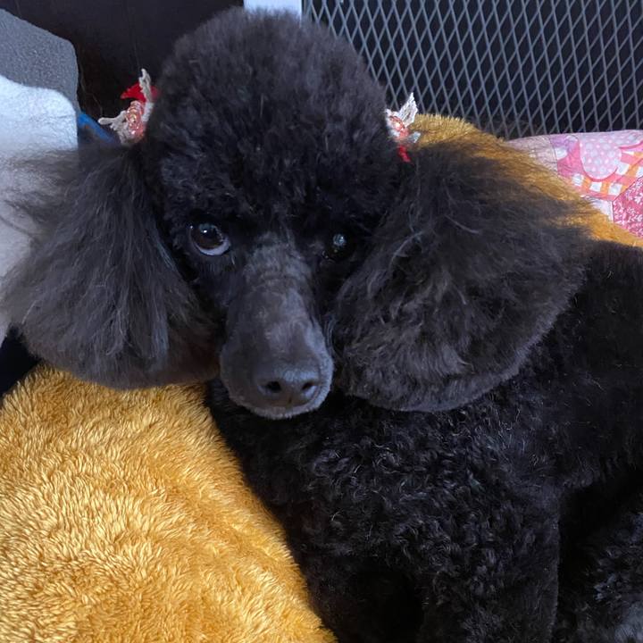 60a4b411 bbf2 4bd7 b0a8 b802a9094642 1580707771987