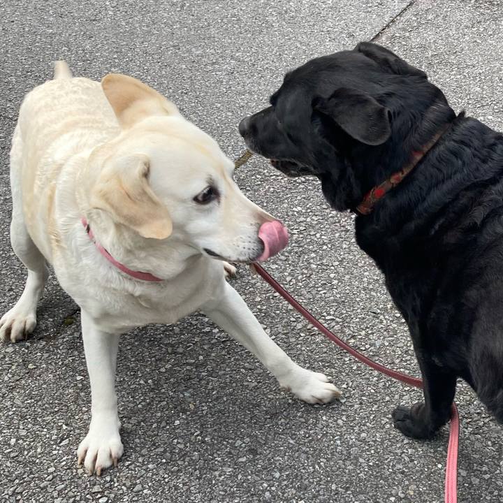 60a4be32 150c 4278 b6ba 48063b295708 1743168030381