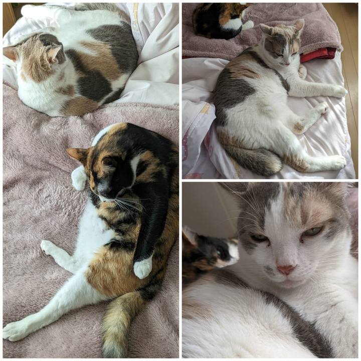 60a4d0cb e9d5 4648 8169 13420bb76ba5 1699686922135