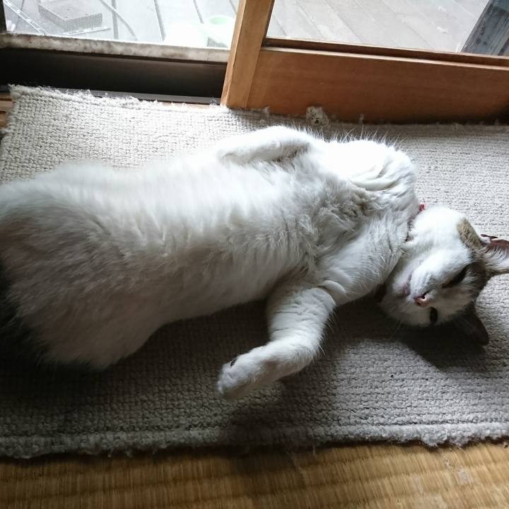 60a4d939 62c3 4b8f b1a8 28265607f731 1528330307927