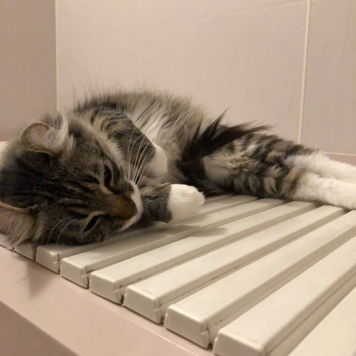 60a50a1a 7bd9 4ff1 9221 4e725f345bdf 1523525446704