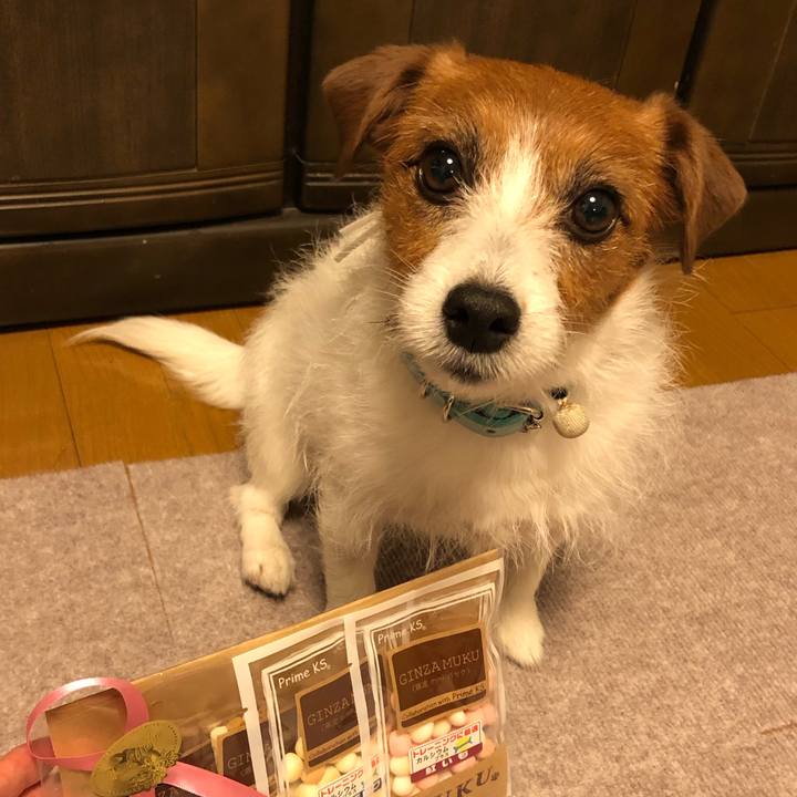 60a5469e 7e85 47d0 b12c a2ee37fbe530 1553002919704