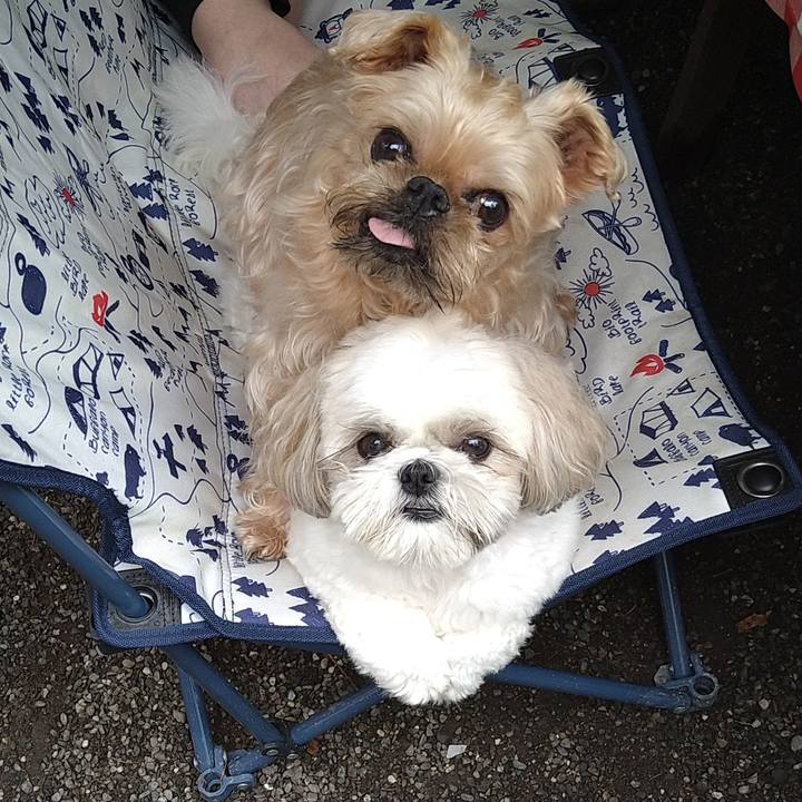 60a56207 48e7 4bf0 adb1 55f663aaf51a 1657931483203