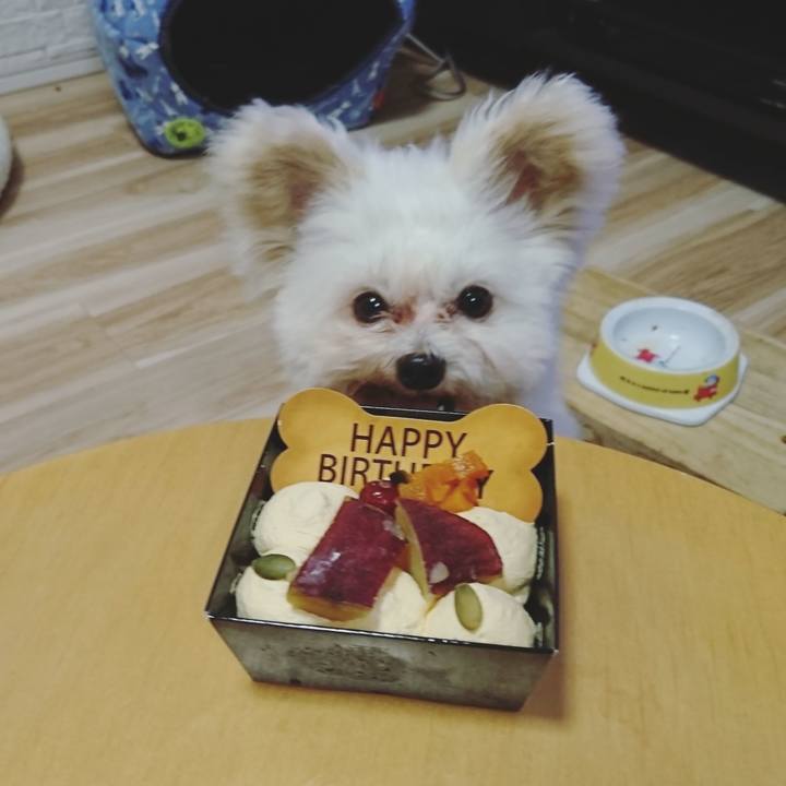 60a5754d 42c7 48f9 a353 8a7b5a03e4f2 1529929518820