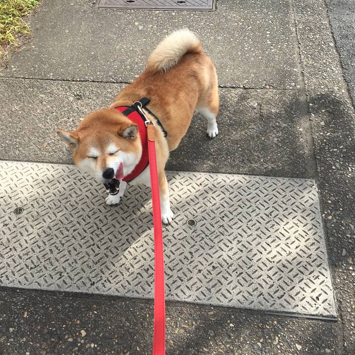 60a58083 199c 4883 bcd0 d1eb06b0423e 1604281133941