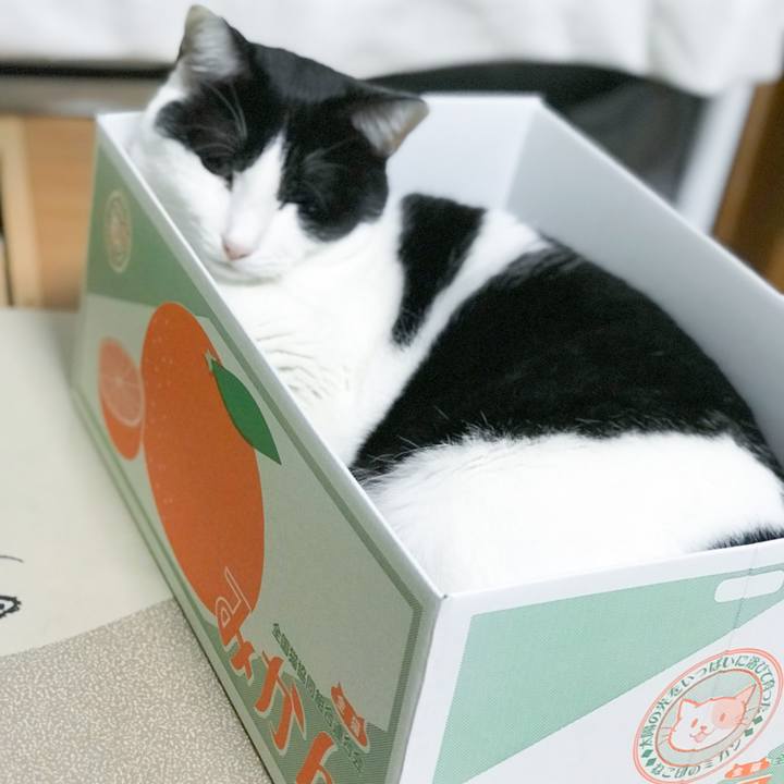 60a58d02 0360 48e7 aa68 c0e3d194554f 1515054270737