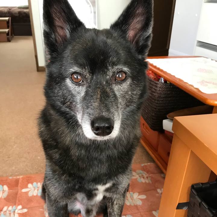 60a5b06d 3d72 4755 9982 06f5781208e6 1511347520717