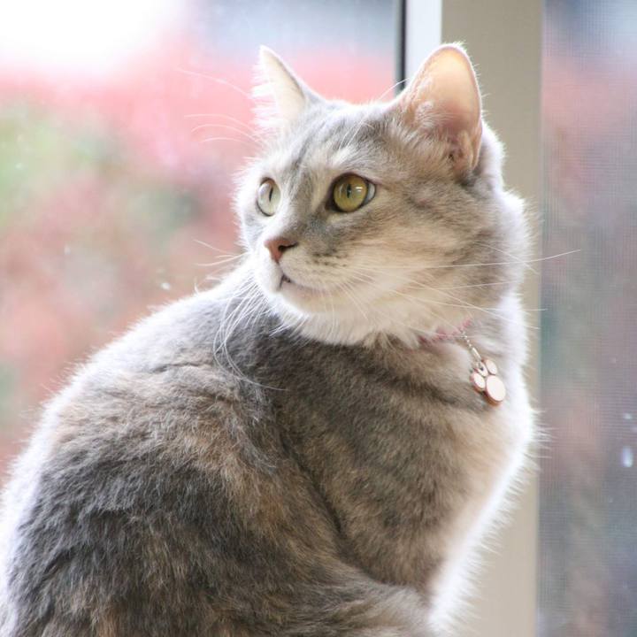 60a5be79 9545 43a1 9240 18965dcd577d 1559871741721