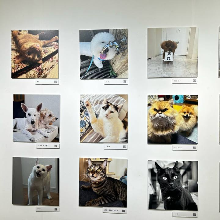 60a5dda2 50d2 4c1c b9b6 786c36c051b0 1762060305497