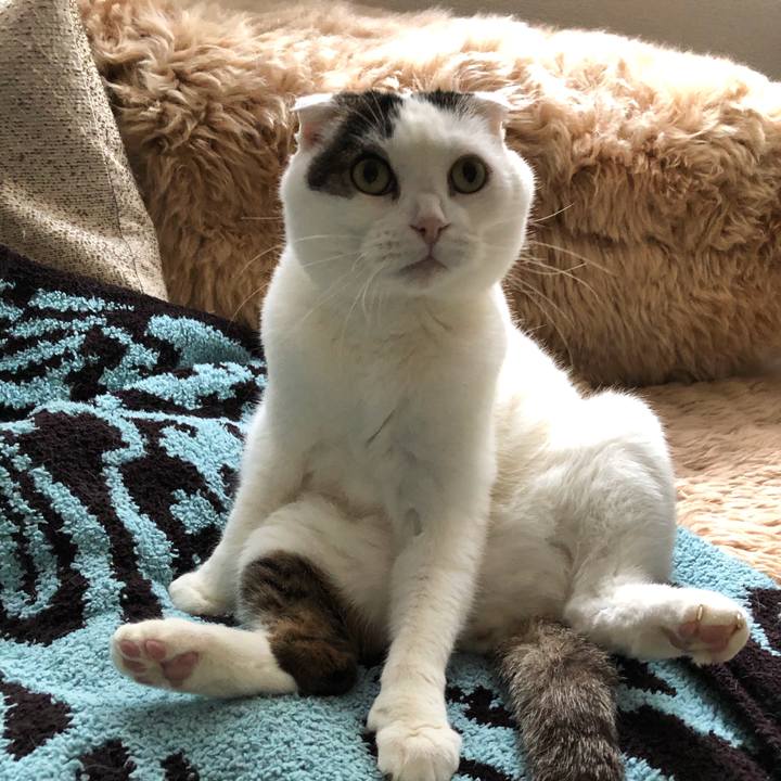 60a616ef 5732 4826 b697 67c72a7a01d5 1613990025594