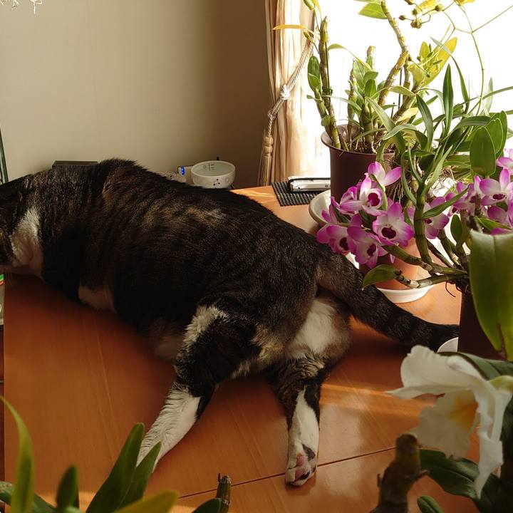 60a657bb d787 4583 bf22 48ea26edb65e 1641945055742