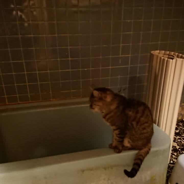 60a65bf0 a939 41c0 bd9c 0d8841bc24cc 1573117490808